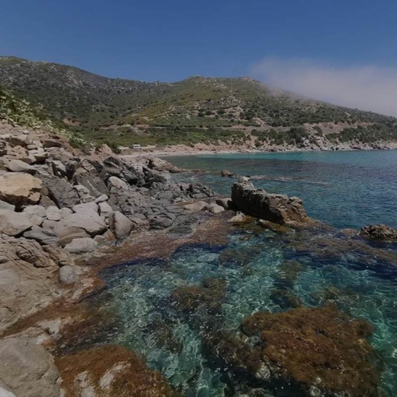 میثم رفیعی خسته شدم عزیزم کجایی شدم خسته میگفتی که نمیشه تورو تنهات بزارم